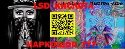 прущие грибы Канаш