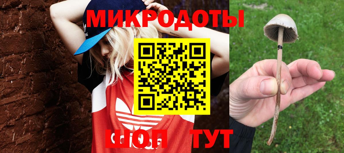 Псилоцибиновые грибы Psilocybe  Кыштым 