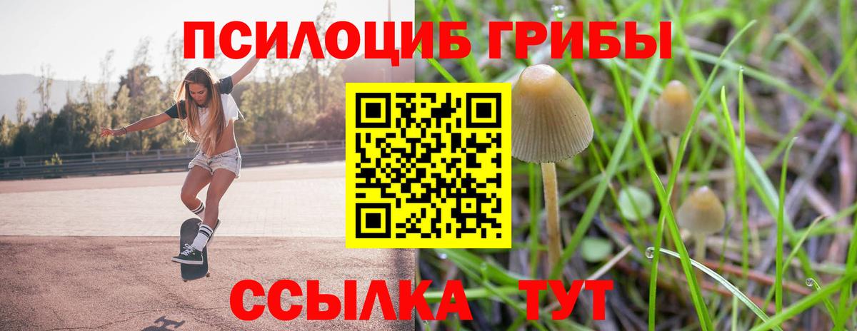 Галлюциногенные грибы Psilocybine cubensis  Вход с VPN  Кыштым 